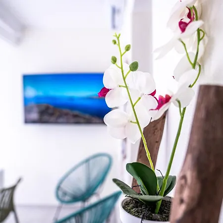Casa Gemelli A Pochi Passi Da Su Giudeu Vakantiehuis *